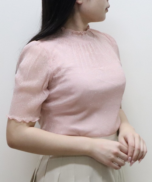 F i.n.t（フィント）の「シアーラメトップス/fint（Tシャツ/カットソー・レディース・ブラック/シルバー/ライトピンク/ライトベージュ・FREE）」の3枚目の写真