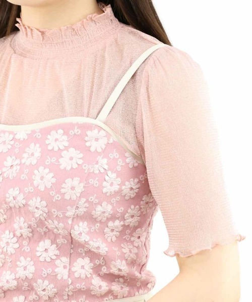 F i.n.t(フィント)の「シアーラメトップス/fint(Tシャツ/カットソー・レディース・ブラック/シルバー/ライトピンク/ライトベージュ・FREE)」の22枚目の写真