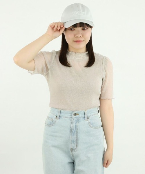 F i.n.t（フィント）の「シアーラメトップス/fint（Tシャツ/カットソー・レディース・ブラック/シルバー/ライトピンク/ライトベージュ・FREE）」の20枚目の写真