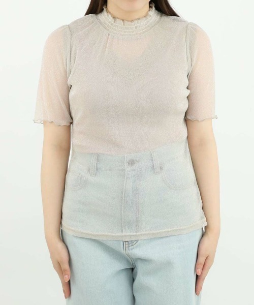 F i.n.t（フィント）の「シアーラメトップス/fint（Tシャツ/カットソー・レディース・ブラック/シルバー/ライトピンク/ライトベージュ・FREE）」の18枚目の写真