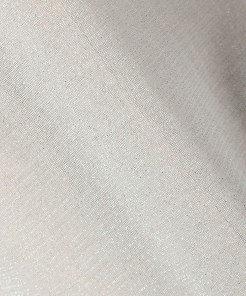 F i.n.t（フィント）の「シアーラメトップス/fint（Tシャツ/カットソー・レディース・ブラック/シルバー/ライトピンク/ライトベージュ・FREE）」の6枚目の写真