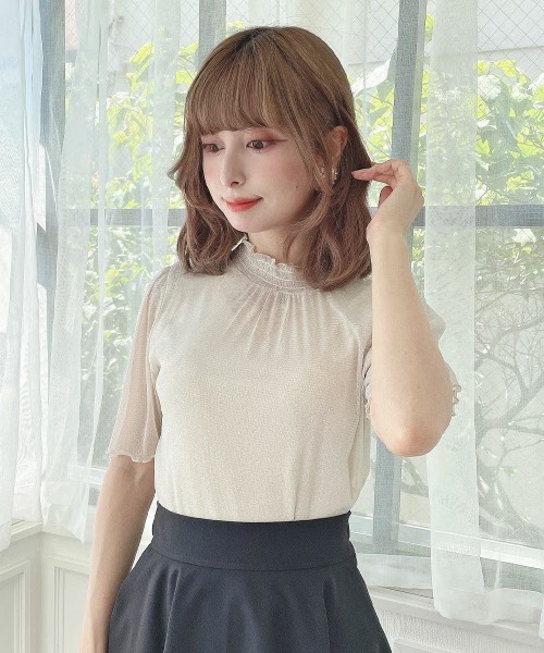 F i.n.t(フィント)の「シアーラメトップス/fint(Tシャツ/カットソー・レディース・ブラック/シルバー/ライトピンク/ライトベージュ・FREE)」の5枚目の写真
