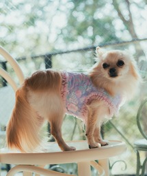 fafa（フェフェ）の「POPPY KATE | ソフトハーネス(犬用 / Sサイズ)（ペットウェア）」