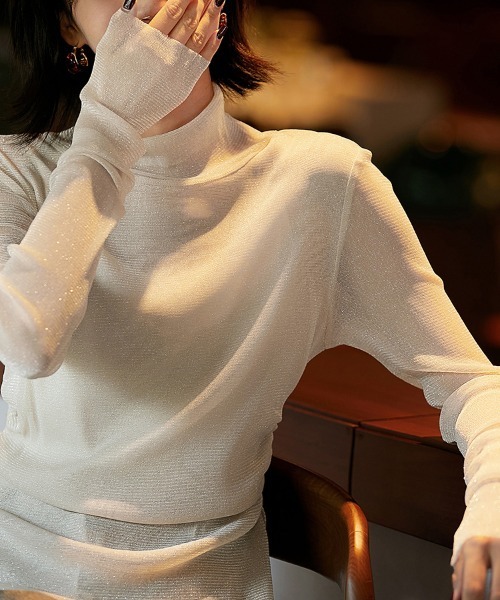 ReRe(リリ)の「ハイネック×シアーメッシュトップス(Tシャツ/カットソー・レディース・ベージュ/ブラック・LARGE/MEDIUM)」の6枚目の写真