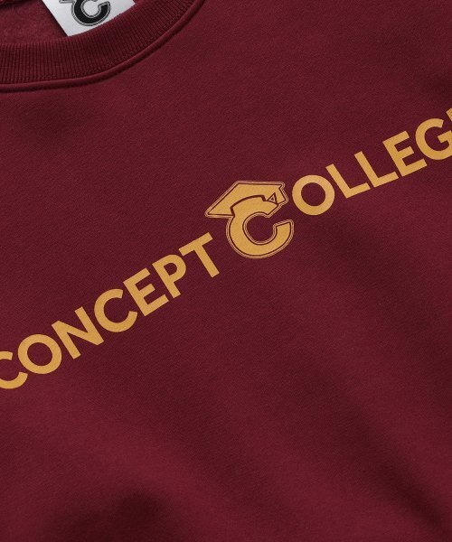CONCEPTCOLLEGE（コンセプトカレッジ）の「ベーシックラインロゴワインスウェットシャツ [成人男女共用]（スウェット・レディース・その他・MEDIUM/LARGE）」の5枚目の写真