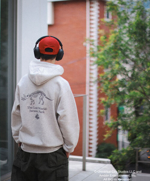 wiffle（ウィッフル）の「Wiffle / JURASSIC PARK HOODIE（スウェット・メンズ・ブラック/ライトグレー・SMALL/MEDIUM/LARGE/X-LARGE）」の3枚目の写真