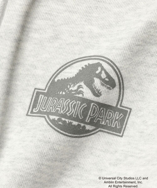 wiffle（ウィッフル）の「Wiffle / JURASSIC PARK HOODIE（スウェット・メンズ・ブラック/ライトグレー・SMALL/MEDIUM/LARGE/X-LARGE）」の11枚目の写真