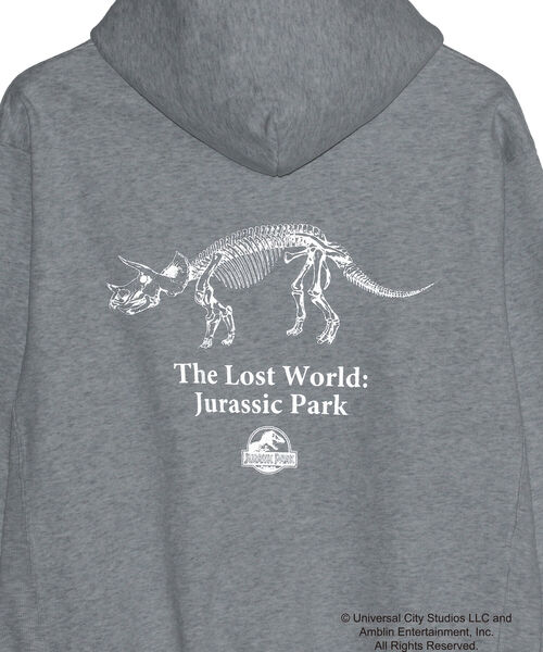 wiffle（ウィッフル）の「Wiffle / JURASSIC PARK HOODIE（スウェット・メンズ・ブラック/ライトグレー・SMALL/MEDIUM/LARGE/X-LARGE）」の12枚目の写真