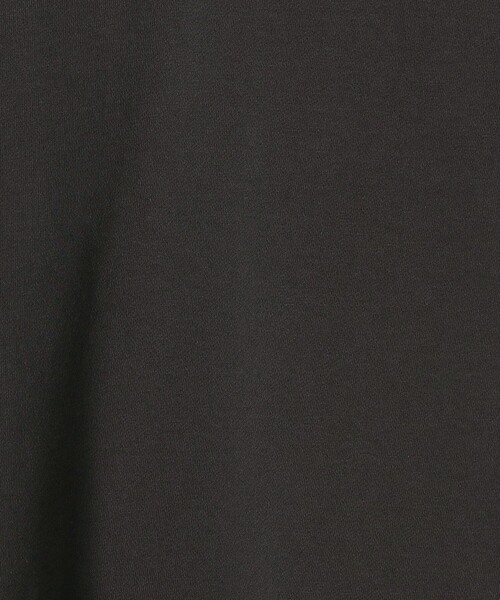 SHIPS Days（シップスデイズ）の「SHIPS Days:〈手洗い可能〉裏起毛フーディー（パーカー・レディース・ブルー/ダークグレー/ライトグレー・ONE SIZE）」の6枚目の写真