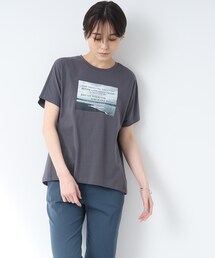 INDIVI | 【洗える/コットン100％】セミAフォトTシャツ(Tシャツ/カットソー)