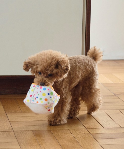 ROPE' PICNIC(ロペピクニック)の「【DOG】birthday ギフトボックストイ(ペットウェア・レディース・その他・FREE)」の2枚目の写真