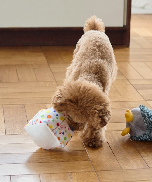 ROPE' PICNIC(ロペピクニック)の「【DOG】birthday ギフトボックストイ(ペットウェア・レディース・その他・FREE)」の3枚目の写真