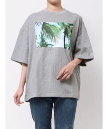 PARROTT CANVAS TRAVEL PH