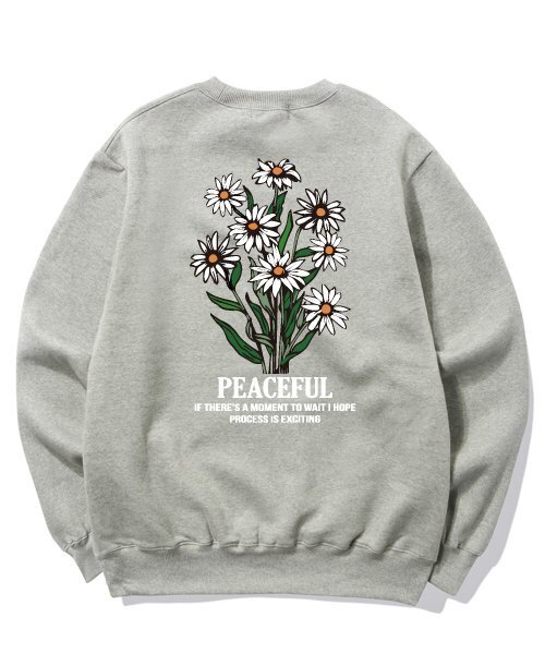 TRIPSHION(トリップション)の「DAISY BUNDLE GRAPHIC クルーネック - グレー(スウェット・メンズ・その他・LARGE/MEDIUM/X-LARGE)」の1枚目の写真