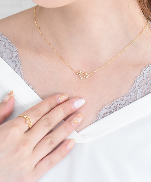 styiro(スタイロ)の「12星座ネックレス(ネックレス・レディース・その他8/その他10/その他4/その他7/その他9/その他12/その他6/その他2/その他3/その他5/その他11/その他1・FREE)」の9枚目の写真