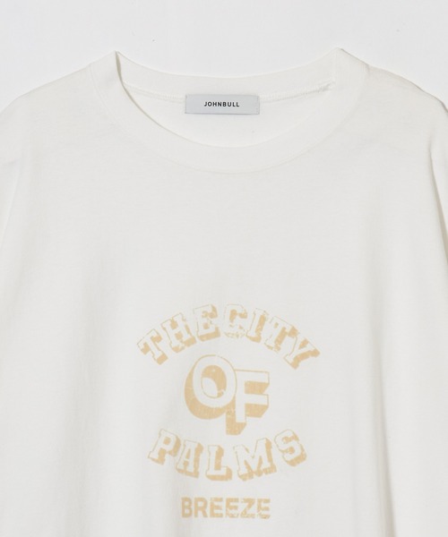 Johnbull（ジョンブル）の「フロッキープリントTシャツ（Tシャツ/カットソー・レディース・ホワイト/ベージュ・FREE）」の13枚目の写真