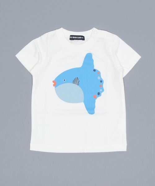 LITTLE BEAR CLUB(リトルベアクラブ)の「海の生き物プリント半袖Tシャツ(Tシャツ/カットソー・キッズ・ブラック/オレンジ/ネイビー/グリーン/ブルー・120/110/90/100/80/130)」の5枚目の写真