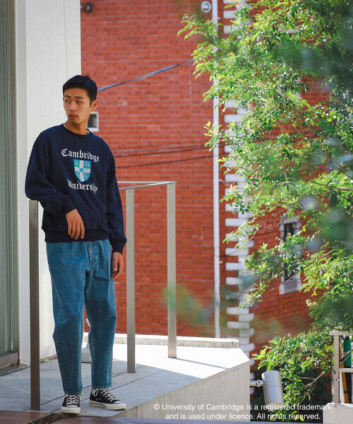 wiffle（ウィッフル）の「Wiffle / Reversible College Crew（スウェット・メンズ・グレー/ネイビー・SMALL/MEDIUM/LARGE/X-LARGE）」の5枚目の写真