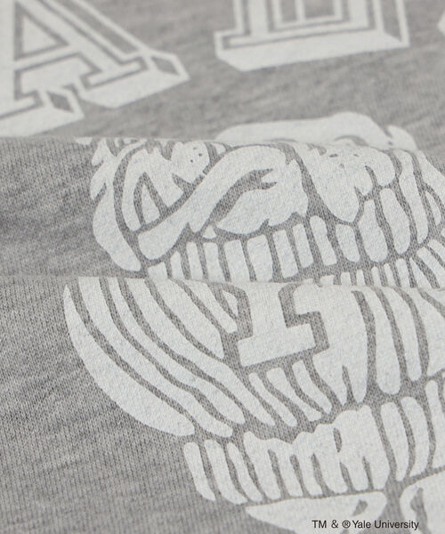 wiffle（ウィッフル）の「Wiffle / Reversible College Crew（スウェット・メンズ・グレー/ネイビー・SMALL/MEDIUM/LARGE/X-LARGE）」の13枚目の写真