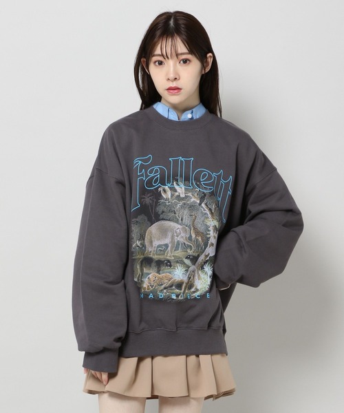 ALAND(エーランド)の「【UNISEX】FALLETT/Serengeti プルオーバー 2178148(スウェット・レディース・チャコール・MEDIUM/LARGE)」の4枚目の写真