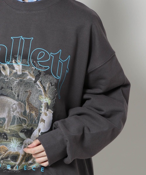 ALAND(エーランド)の「【UNISEX】FALLETT/Serengeti プルオーバー 2178148(スウェット・レディース・チャコール・MEDIUM/LARGE)」の10枚目の写真