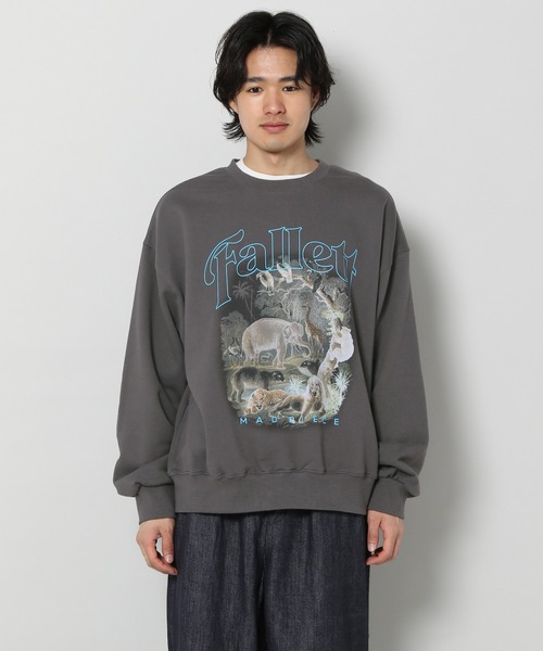 ALAND(エーランド)の「【UNISEX】FALLETT/Serengeti プルオーバー 2178148(スウェット・レディース・チャコール・MEDIUM/LARGE)」の18枚目の写真