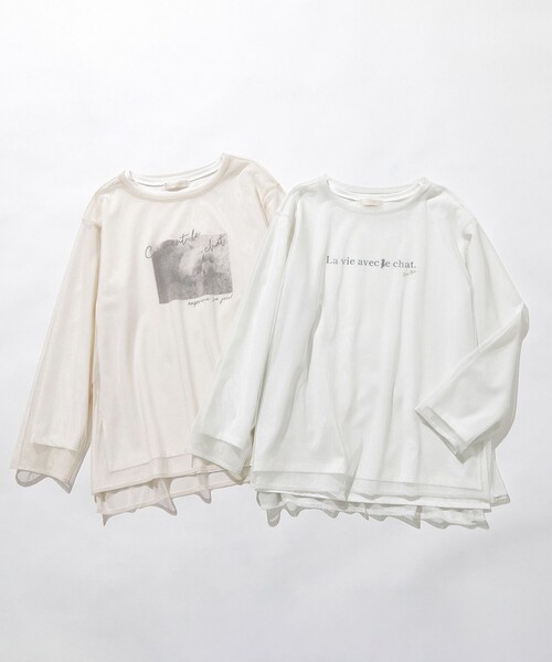 ANY SIS(エニィスィス)の「【貴島明日香さんコラボ】チュールレイニャード猫 Tシャツ(Tシャツ/カットソー・レディース・アイボリー系/ライトグレー系・4)」の10枚目の写真