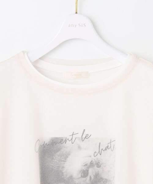 ANY SIS(エニィスィス)の「【貴島明日香さんコラボ】チュールレイニャード猫 Tシャツ(Tシャツ/カットソー・レディース・アイボリー系/ライトグレー系・4)」の15枚目の写真