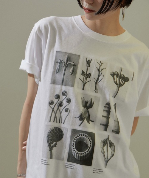 SALON adam et rope'（サロン アダム エ ロペ）の「【WEB限定】【KARL BLOSSFELDT（カールブロスフェルト）】フォトTシャツ 2 /25SS（Tシャツ/カットソー・レディース・グレー/チャコールグレー/ホワイト/ホワイト系その他・FREE）」の2枚目の写真