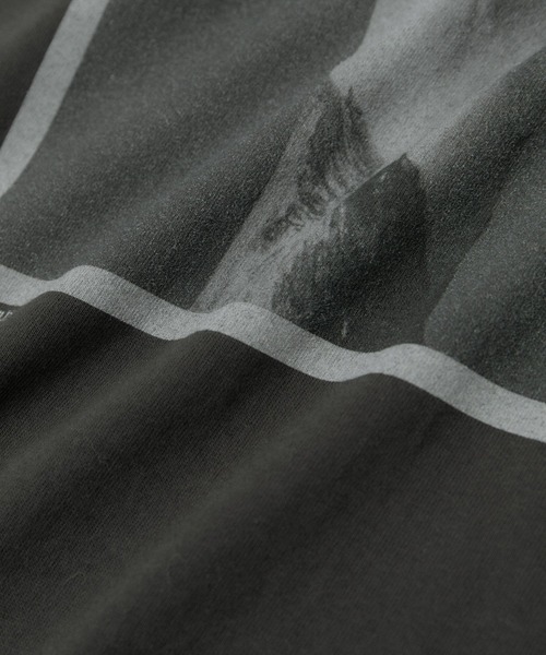 SALON adam et rope'（サロン アダム エ ロペ）の「【WEB限定】【KARL BLOSSFELDT（カールブロスフェルト）】フォトTシャツ 2 /25SS（Tシャツ/カットソー・レディース・グレー/チャコールグレー/ホワイト/ホワイト系その他・FREE）」の21枚目の写真