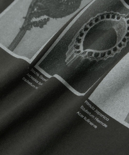 SALON adam et rope'（サロン アダム エ ロペ）の「【WEB限定】【KARL BLOSSFELDT（カールブロスフェルト）】フォトTシャツ 2 /25SS（Tシャツ/カットソー・レディース・グレー/チャコールグレー/ホワイト/ホワイト系その他・FREE）」の22枚目の写真
