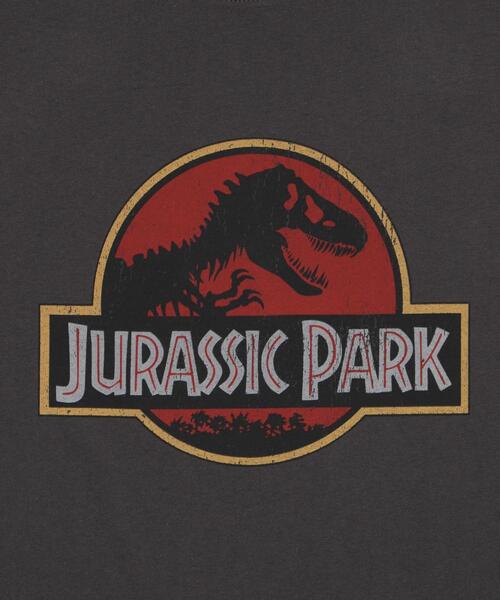 WEGO（ウィゴー）の「∴WEGO/JURASSIC PARKグラフィックT（Tシャツ/カットソー・メンズ・その他1/その他3/その他2/その他4・MEDIUM/SMALL/LARGE）」の15枚目の写真