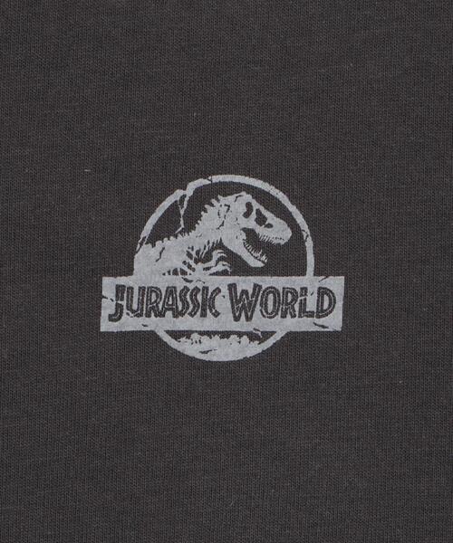 WEGO（ウィゴー）の「∴WEGO/JURASSIC PARKグラフィックT（Tシャツ/カットソー・メンズ・その他1/その他3/その他2/その他4・MEDIUM/SMALL/LARGE）」の20枚目の写真