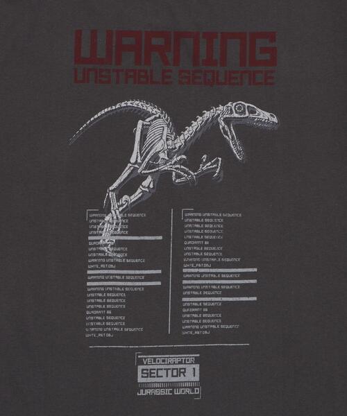 WEGO（ウィゴー）の「∴WEGO/JURASSIC PARKグラフィックT（Tシャツ/カットソー・メンズ・その他1/その他3/その他2/その他4・MEDIUM/SMALL/LARGE）」の21枚目の写真