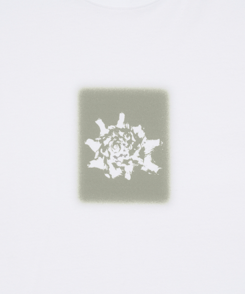 THECOLDESTMOMENT(ザコールデストモーメント)の「TCM conch T (white)(Tシャツ/カットソー・レディース・その他・S/M/L)」の5枚目の写真