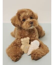 gelato pique（ジェラートピケ）の「【CAT&DOG】アイスクリーム&ベア ラテックストイセット BOX付き（その他ペットグッズ）」