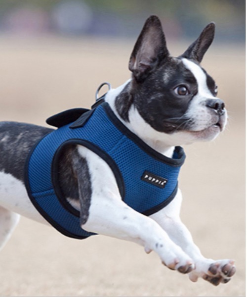 NEW JACK(ニュージャック)の「PUPPIA:パピア ソフト ベスト ハーネス(リード/ハーネス/首輪・レディース・ベージュ/ネイビー/ブラック/スカイブルー/ピンク/レッド/グレー/ブラウン/パープル/カモフラージュ/グリーン/イエロー/オレンジ/ブルー/ワイン・S/M/L)」の8枚目の写真