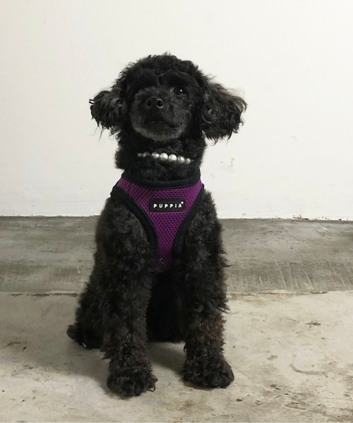 NEW JACK(ニュージャック)の「PUPPIA:パピア ソフト ベスト ハーネス(リード/ハーネス/首輪・レディース・ベージュ/ネイビー/ブラック/スカイブルー/ピンク/レッド/グレー/ブラウン/パープル/カモフラージュ/グリーン/イエロー/オレンジ/ロイヤルブルー/ワイン・S/M/L)」の9枚目の写真