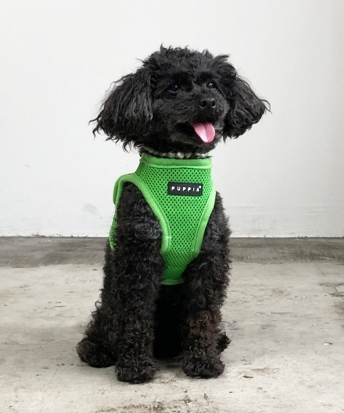 NEW JACK(ニュージャック)の「PUPPIA:パピア ソフト ベスト ハーネス(リード/ハーネス/首輪・レディース・ベージュ/ネイビー/ブラック/スカイブルー/ピンク/レッド/グレー/ブラウン/パープル/カモフラージュ/グリーン/イエロー/オレンジ/ロイヤルブルー/ワイン・S/M/L)」の5枚目の写真