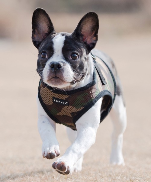 NEW JACK（ニュージャック）の「PUPPIA:パピア ソフト ベスト ハーネス