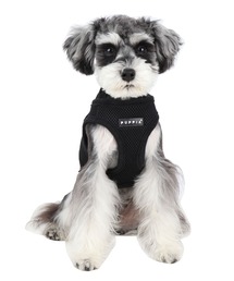 NEW JACK（ニュージャック）の「PUPPIA:パピア ソフト ベスト ハーネス（リード/ハーネス/首輪）」