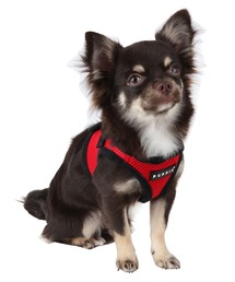 NEW JACK（ニュージャック）の「PUPPIA:パピア ソフト ベスト ハーネス（リード/ハーネス/首輪）」