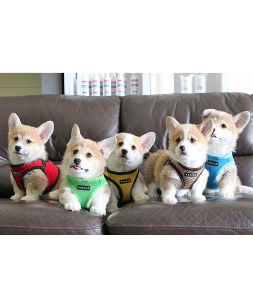 NEW JACK(ニュージャック)の「PUPPIA:パピア ソフト ベスト ハーネス(リード/ハーネス/首輪・レディース・ベージュ/ネイビー/ブラック/スカイブルー/ピンク/レッド/グレー/ブラウン/パープル/カモフラージュ/グリーン/イエロー/オレンジ/ロイヤルブルー/ワイン・S/M/L)」の16枚目の写真