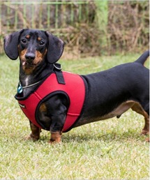 NEW JACK（ニュージャック）の「PUPPIA:パピア ソフト ベスト ハーネス（リード/ハーネス/首輪）」