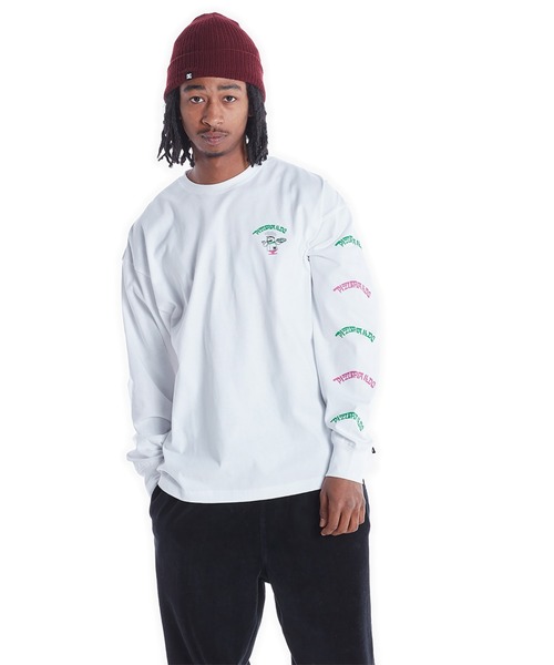 DC SHOES（ディーシーシューズ）の「21 GRAPHICS PRINT LS/DCバックプリント長袖ロンT（Tシャツ/カットソー・メンズ・ベージュ/ホワイト系その他/ブラック系その他/ホワイト系その他2/ホワイト系その他3/ブラック系その他2/ブラック系その他3・MEDIUM/LARGE/X-LARGE）」の12枚目の写真