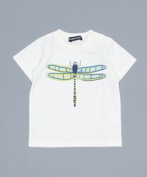 LITTLE BEAR CLUB(リトルベアクラブ)の「虫プリント半袖Tシャツ(Tシャツ/カットソー・キッズ・グリーン/ブラック/レッド/エメラルド/ブラウン/ブルー・130/110/80/90/120/100)」の1枚目の写真