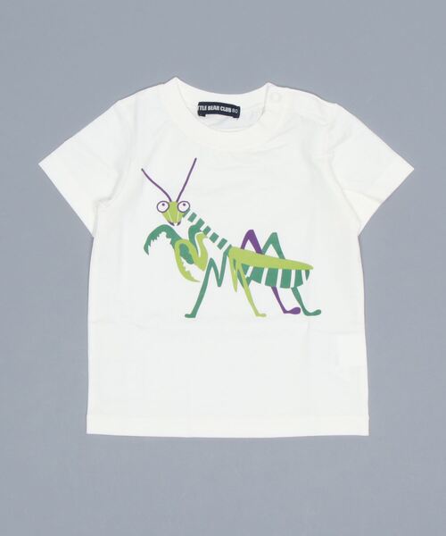 LITTLE BEAR CLUB(リトルベアクラブ)の「虫プリント半袖Tシャツ(Tシャツ/カットソー・キッズ・グリーン/ブラック/レッド/エメラルド/ブラウン/ブルー・130/110/80/90/120/100)」の4枚目の写真