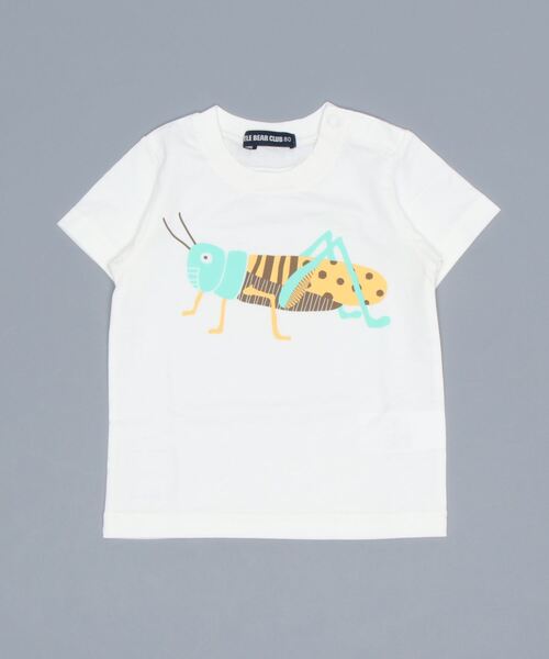 LITTLE BEAR CLUB(リトルベアクラブ)の「虫プリント半袖Tシャツ(Tシャツ/カットソー・キッズ・グリーン/ブラック/レッド/エメラルド/ブラウン/ブルー・130/110/80/90/120/100)」の5枚目の写真