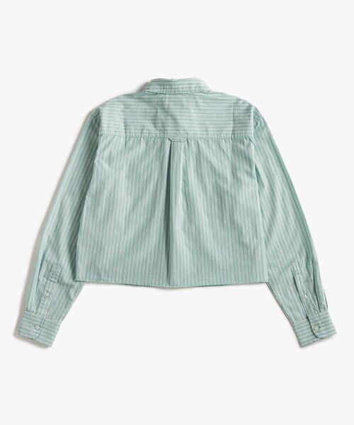 tommy jeans(トミー ジーンズ)の「クロップドリラックスクレストシャツ(シャツ/ブラウス・レディース・チェリーピンク/エメラルド・X-SMALL/SMALL/MEDIUM)」の7枚目の写真