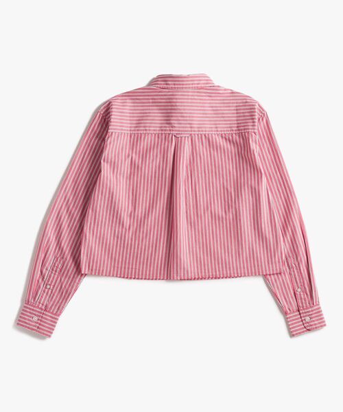 tommy jeans(トミー ジーンズ)の「クロップドリラックスクレストシャツ(シャツ/ブラウス・レディース・チェリーピンク/エメラルド・X-SMALL/SMALL/MEDIUM)」の12枚目の写真